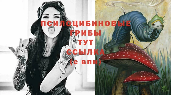 ГАЛЛЮЦИНОГЕННЫЕ ГРИБЫ Белоозёрский