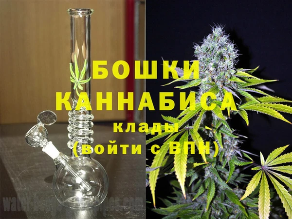 стаф Балахна